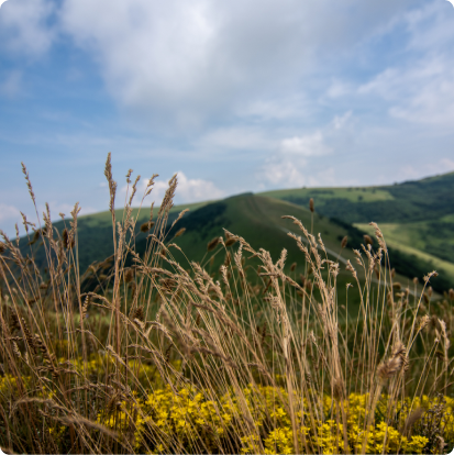 photo-slider-1